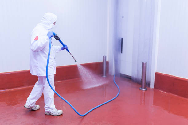 Best Sign and Awning Cleaning  in Perezville, TX